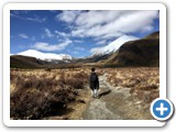 155 C'E' STARDA E STRADA -NEW ZELAND